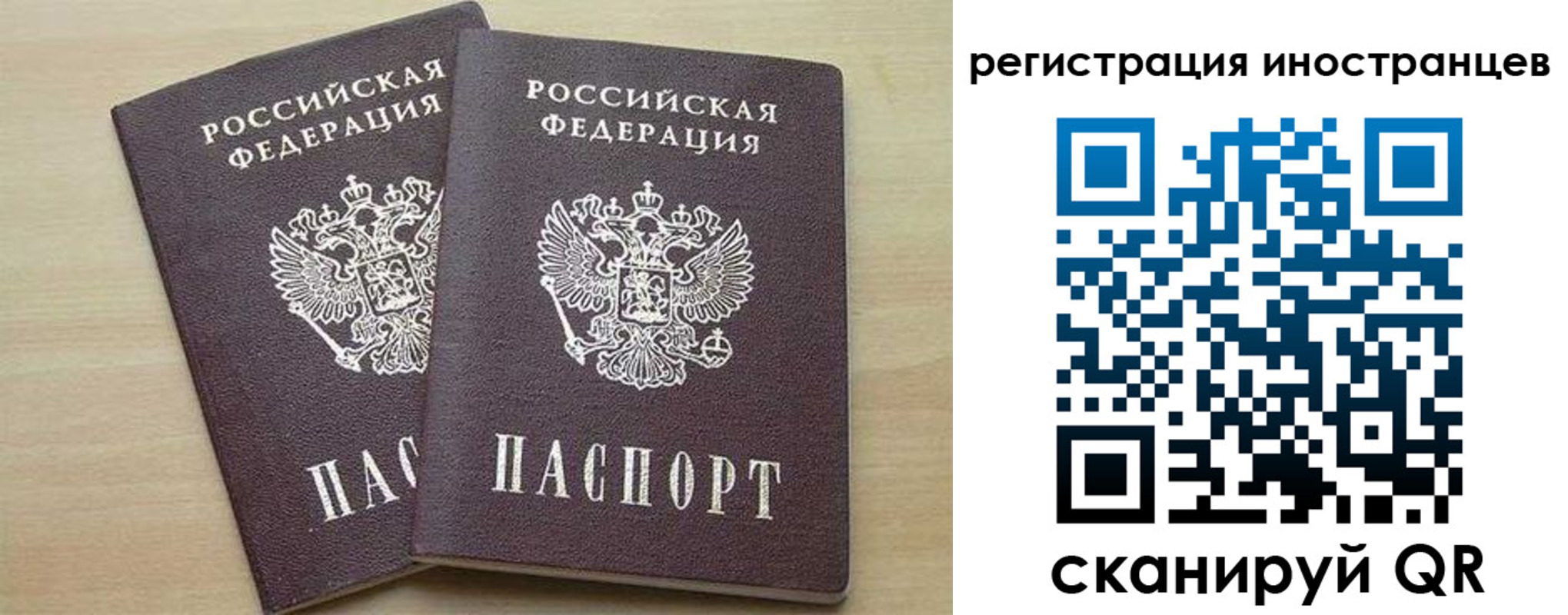 временная регистрация 2025 в Фрязино