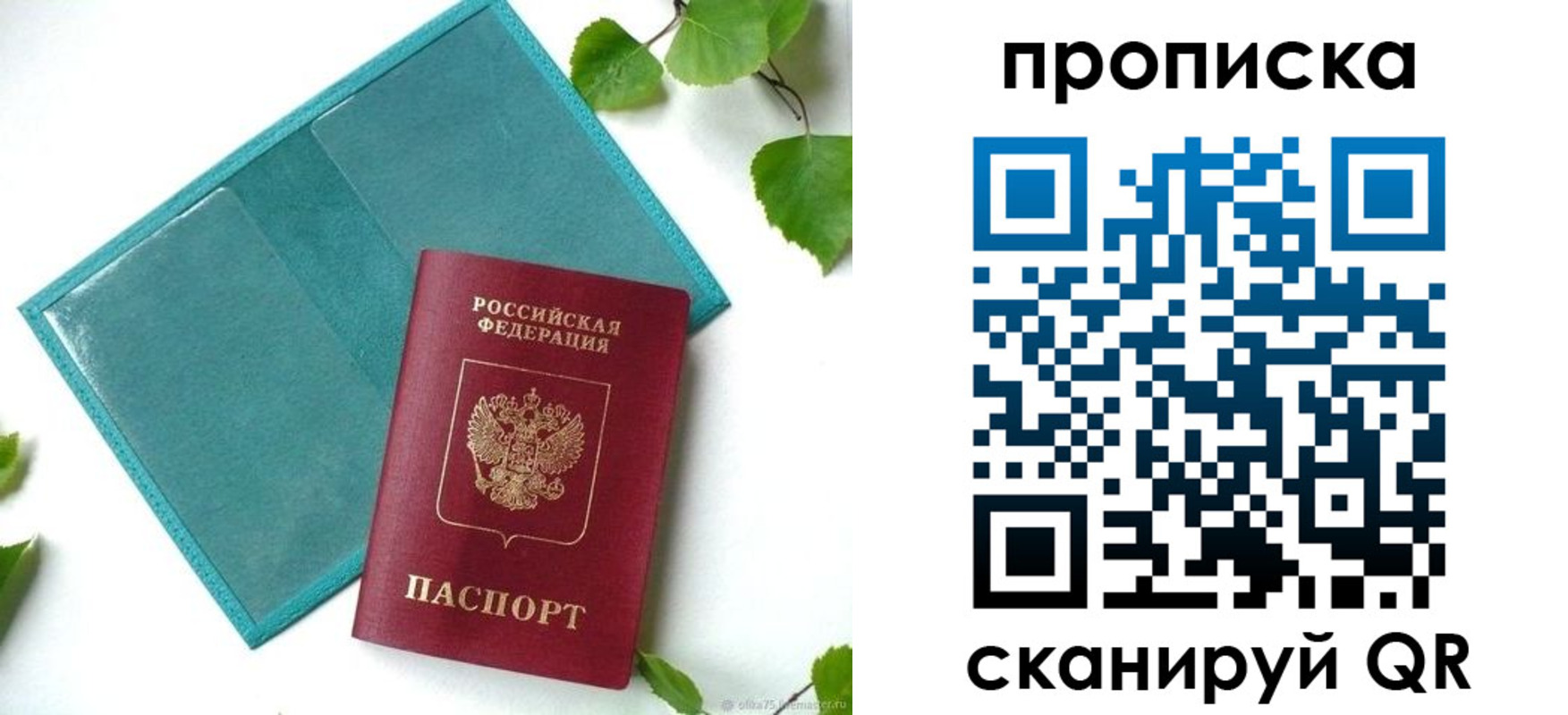 прописка штамп в Фрязино
